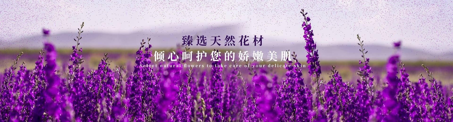 寧波市科力電源有限公司